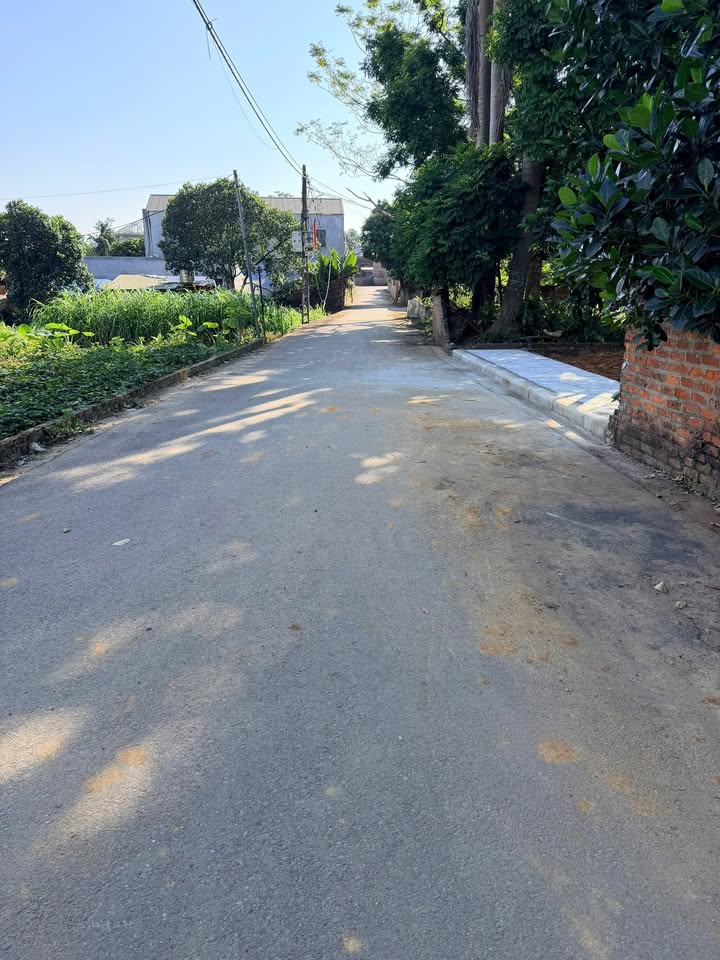 Đất nền Phú Cát Quốc Oai 240m² - Mặt tiền 9m, cơ hội đầu tư hấp dẫn!