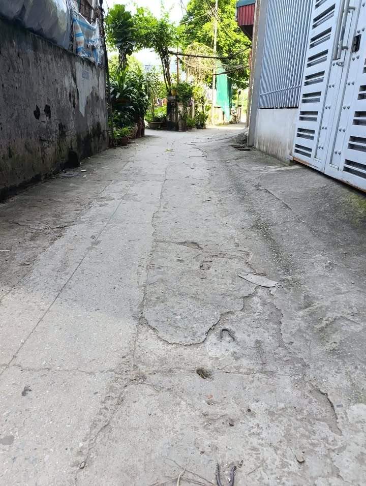 Nhà riêng Cổ Nhuế, Bắc Từ Liêm 43.5m² giá 7.9 tỷ - Mặt tiền rộng, ô tô tránh thoải mái!