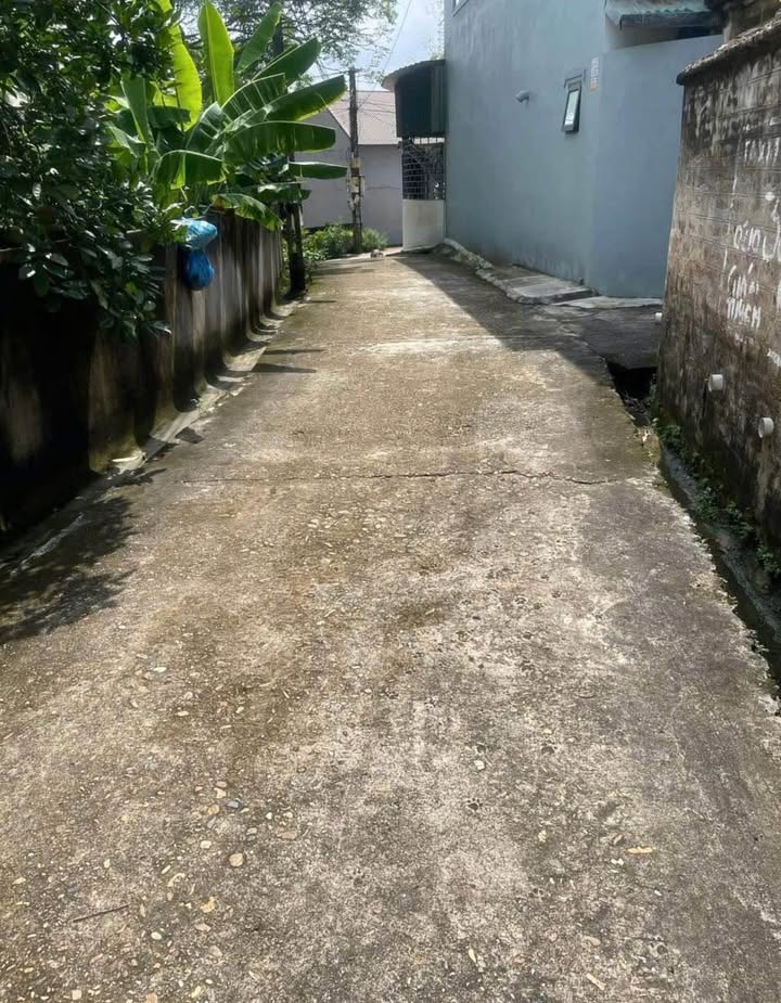 Đất nền phường Vân Phú 145,5m² giá tốt - Sổ đỏ chính chủ!