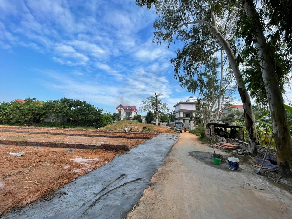 Đất thổ cư Tiên Lữ 126.9m² - Đường thông thoáng, giá thỏa thuận!