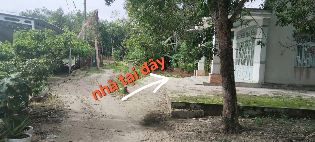 Đất nền Bến Củi DMC Tây Ninh 300m² giá 490 triệu - Không thể bỏ qua!