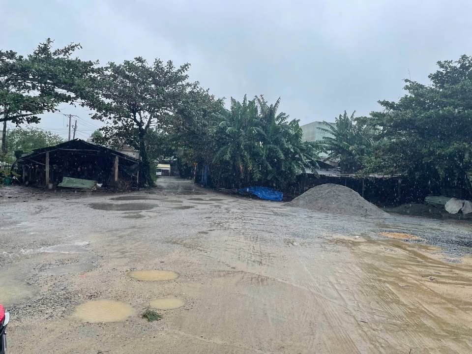 Đất mặt tiền Tam Ngọc 146.25m² giá chỉ 900 triệu - Đầu tư sinh lời cực tốt!