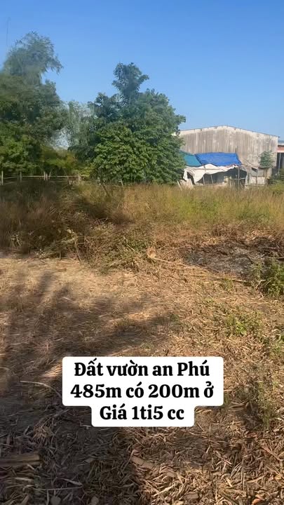 Đất vườn An Phú 485m² giá 1.5 tỷ - Lô góc đẹp, tiện ích đầy đủ!