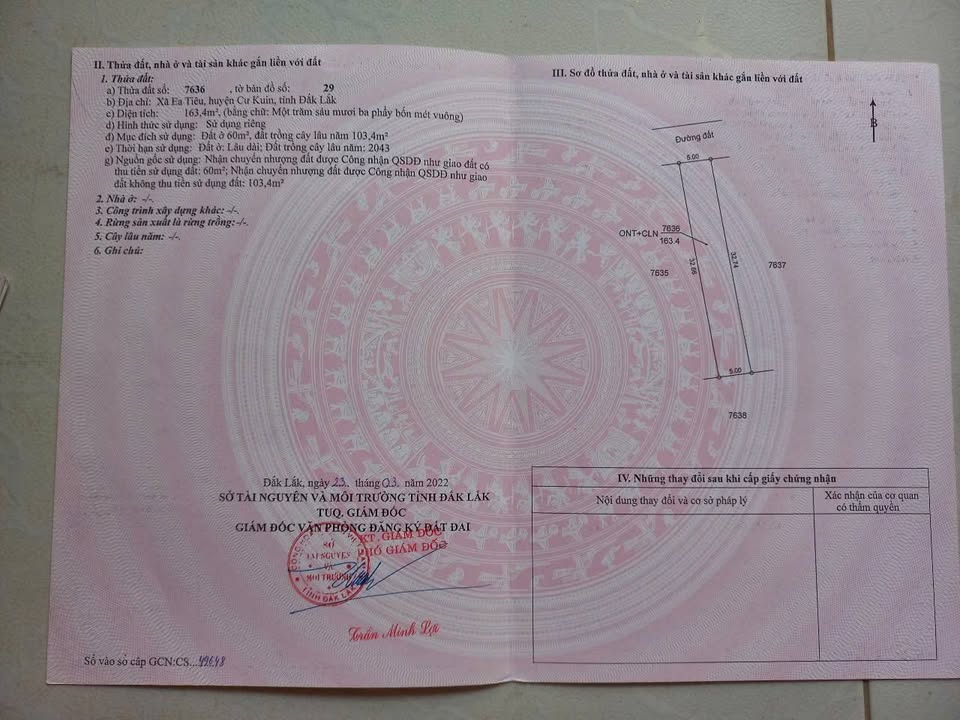 Đất thổ cư Ea Tiêu 160m² giá 235 triệu - Bán gấp, bớt lộc nhẹ!