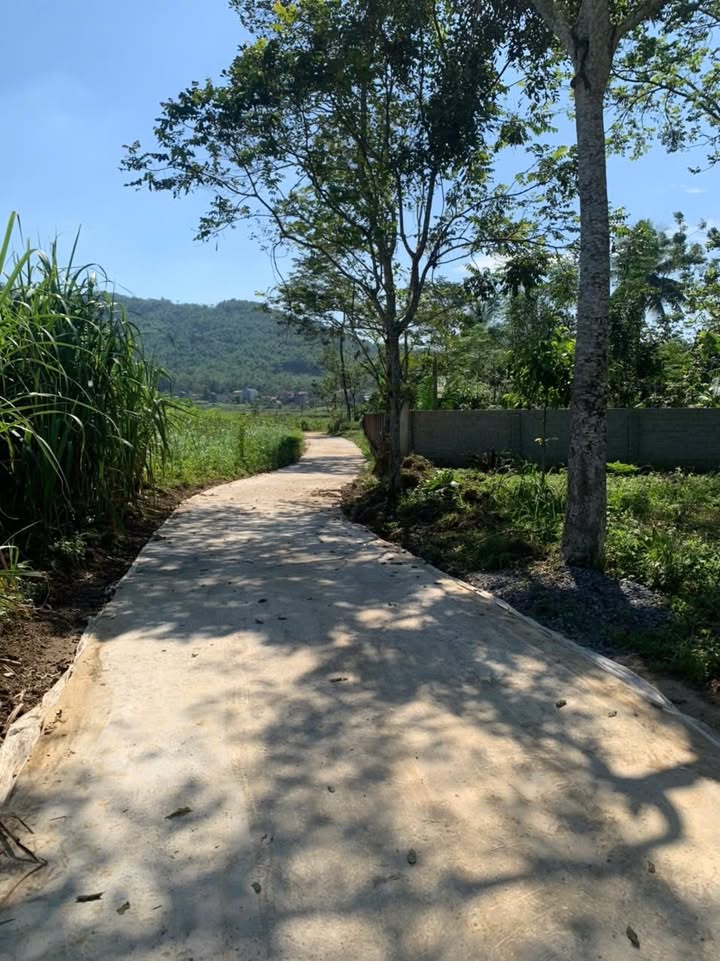 Đất nền thổ cư 175m² tại Thôn Hạ Mý, Ngọc Lặc - Giá chỉ từ 100 triệu!