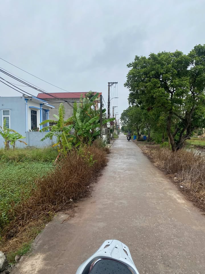 Đất nền Xóm 5, Xuân Phú 193m² - Pháp lý chuẩn, vị trí đắc địa!