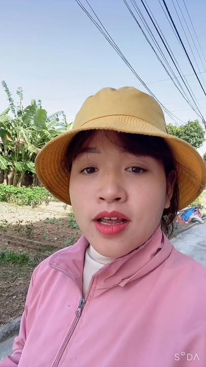 Đất Tiên Dược - 50m² giá 1 tỷ - Tiềm năng sinh lời cao!