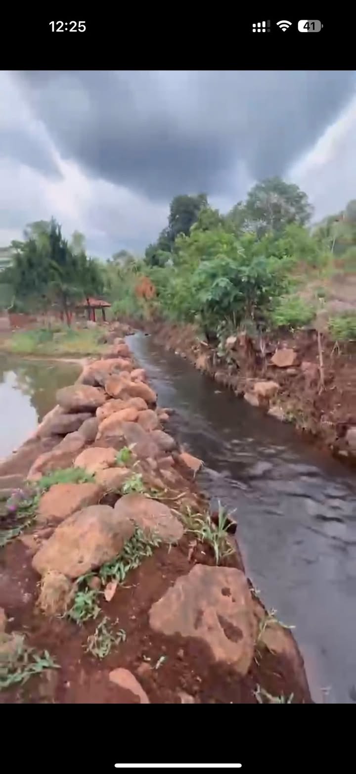 Đất nền 1000m² Phường Tân Lập, Buôn Ma Thuột giá chỉ 3 tỷ - Cơ hội đầu tư tuyệt vời!