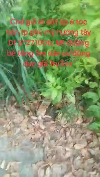 Đất nền 135m² ấp 6 Tóc Tiên, Phú Mỹ chỉ 1.3 tỷ - Đầu tư sinh lời ngay!