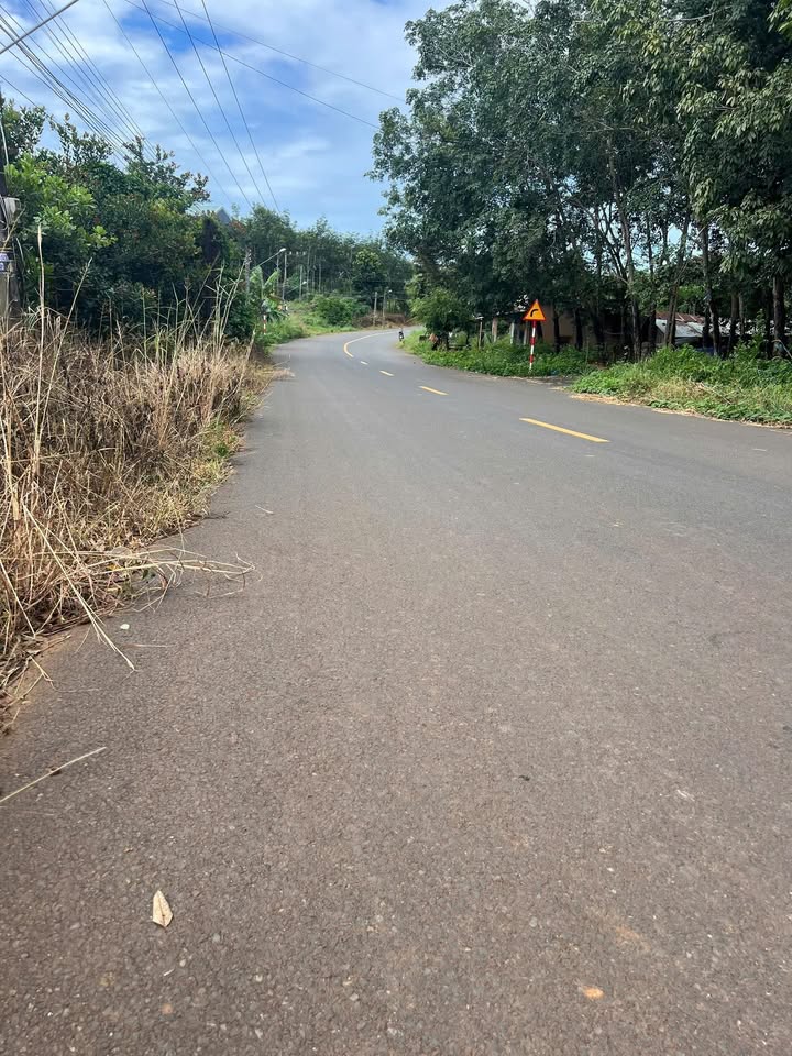 Đất thổ cư Đồng Tiến, Đồng Phú 9,690m² giá chỉ 1 tỷ - Cơ hội đầu tư hấp dẫn!