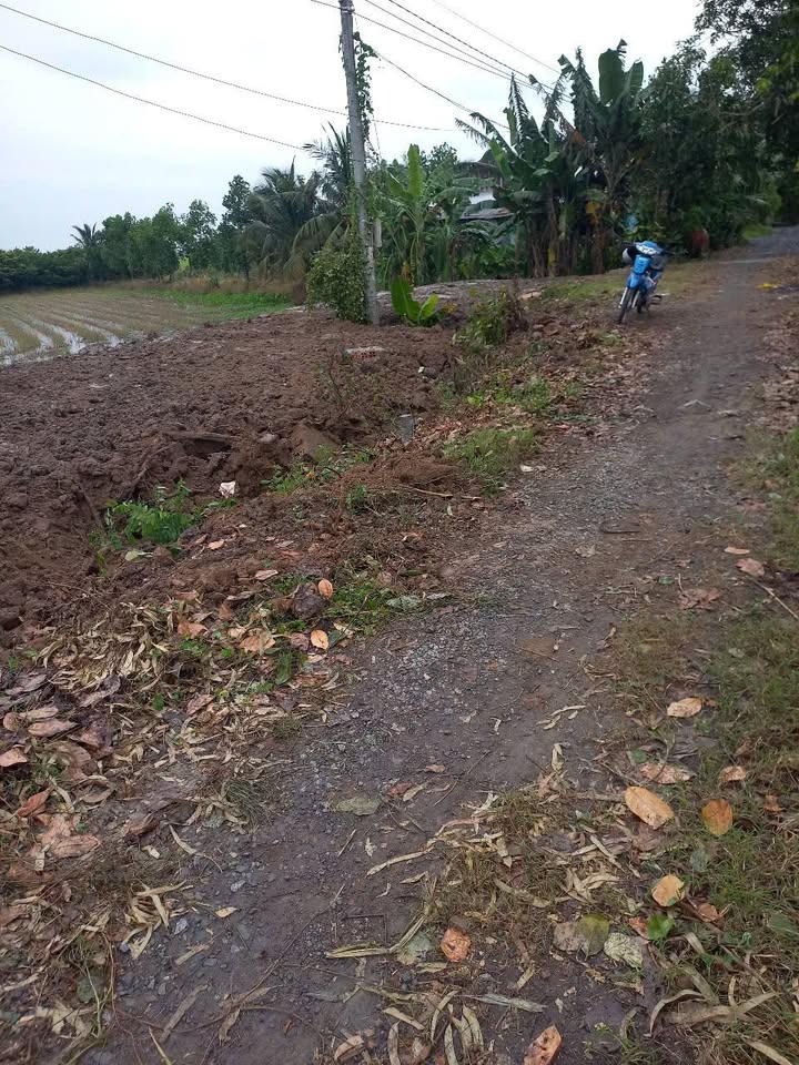 Đất mặt tiền 24m x 100m tại Phương Thịnh, 1818m² - Giá chỉ 740 triệu!