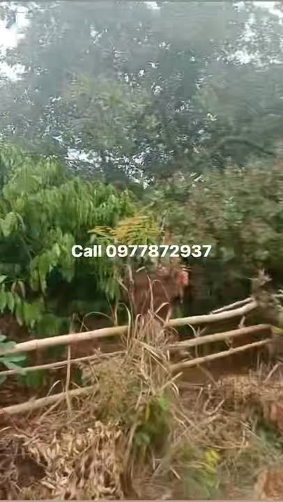 Đất nền 24000m² tại trung tâm hành chính Bom Bo, Bình Phước - Cơ hội đầu tư hấp dẫn!