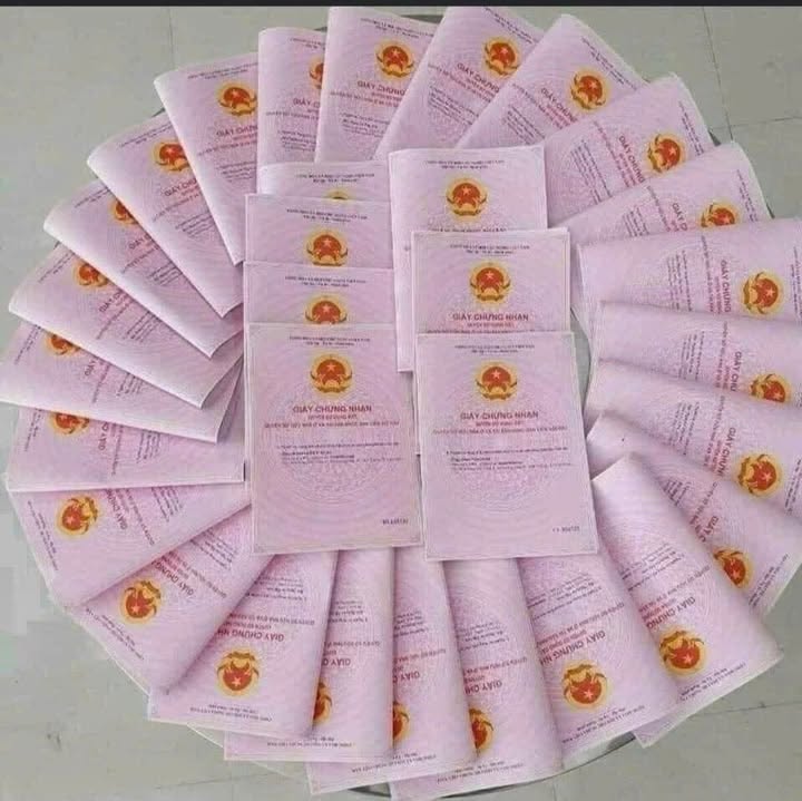 Đất thổ cư tại thôn 7 Đông Sơn, Tam Điệp, Ninh Bình 125m² - Gần trục chính, giá thỏa thuận!