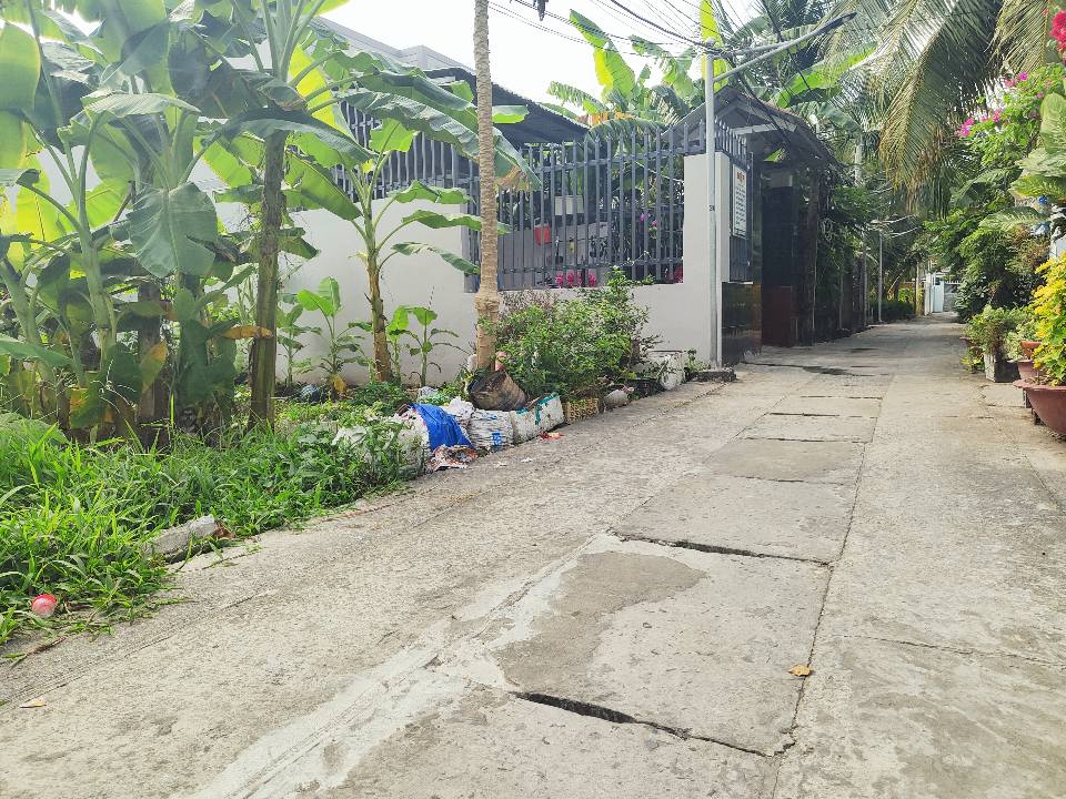 Đất thổ cư phường 8, Bến Tre 211,9m² giá 1,5 tỷ - Hẻm thông, xe hơi vào tận nơi!