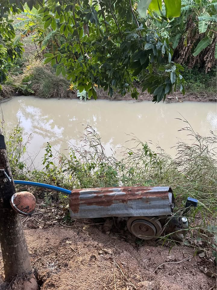 Đất nền 4ha xã Ea H'leo Đắk Lắk chỉ 2 tỷ - Sổ đỏ chính chủ, giá tốt!