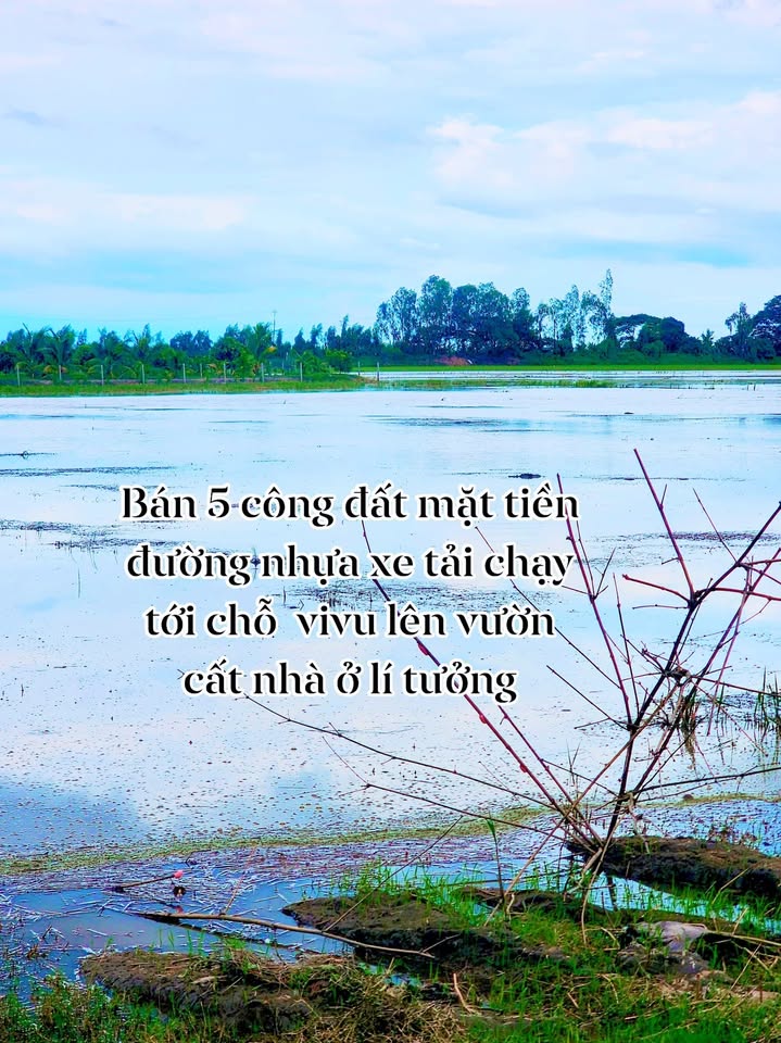 Đất nông nghiệp 5 công tại xã Phú Lâm, An Giang giá chỉ 2 tỷ - Tiềm năng đầu tư lớn!