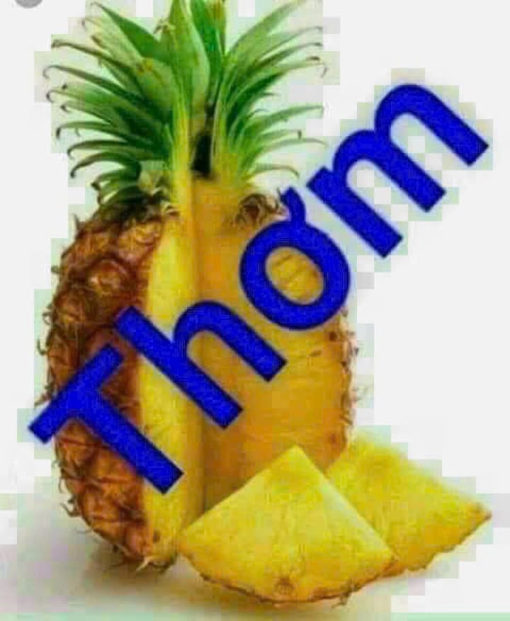 Đất mặt tiền đường Thống Nhất Gò Vấp 1100m² giá 115 tỷ - Đầu tư sinh lời ngay!