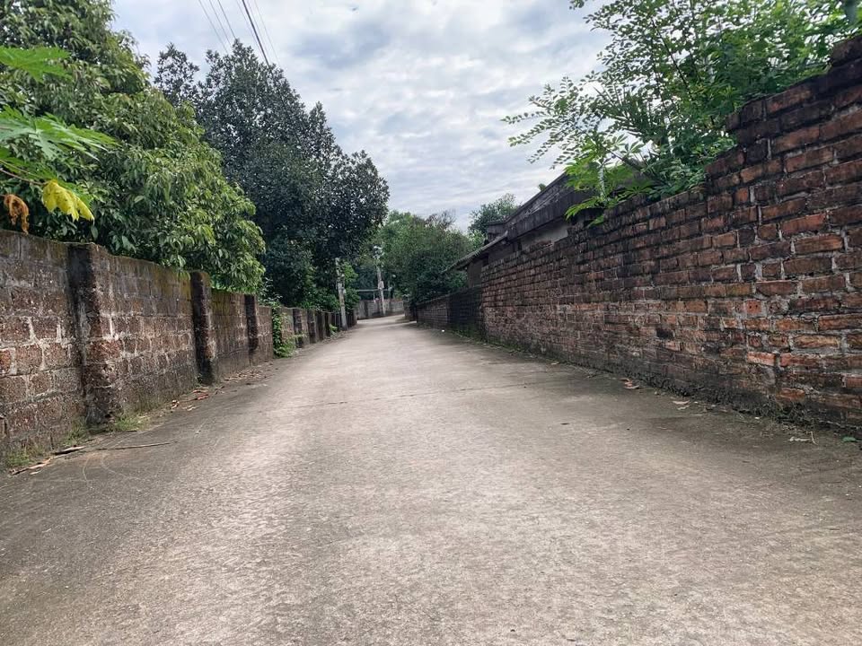 Đất thổ cư 100m² tại thôn Bằng Lũng, Tiên Phong, giá chỉ 1 tỷ - Cơ hội đầu tư hấp dẫn!