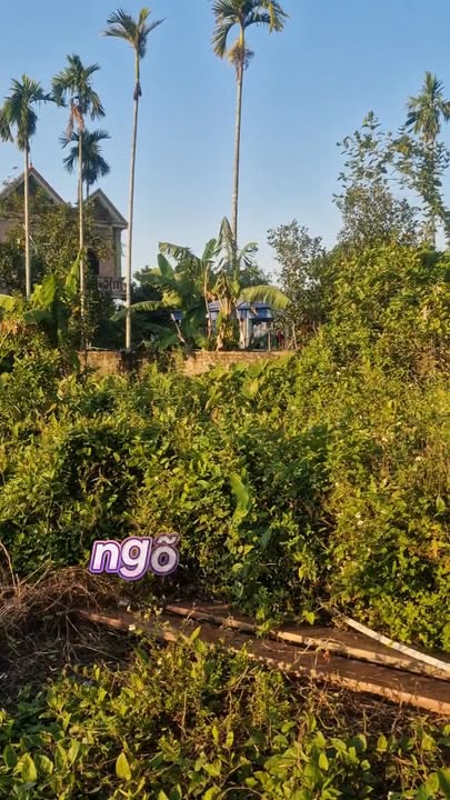 Đất nền Tam Kiệt, Hữu Bằng, Kiến Thụy 62m² chỉ 600 triệu - Sổ đỏ chính chủ!