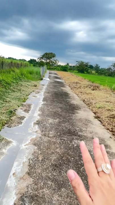 Đất thổ cư chính chủ tại Mỹ Lộc, Cần Giuộc, 101m² - Giá chỉ 680 triệu!