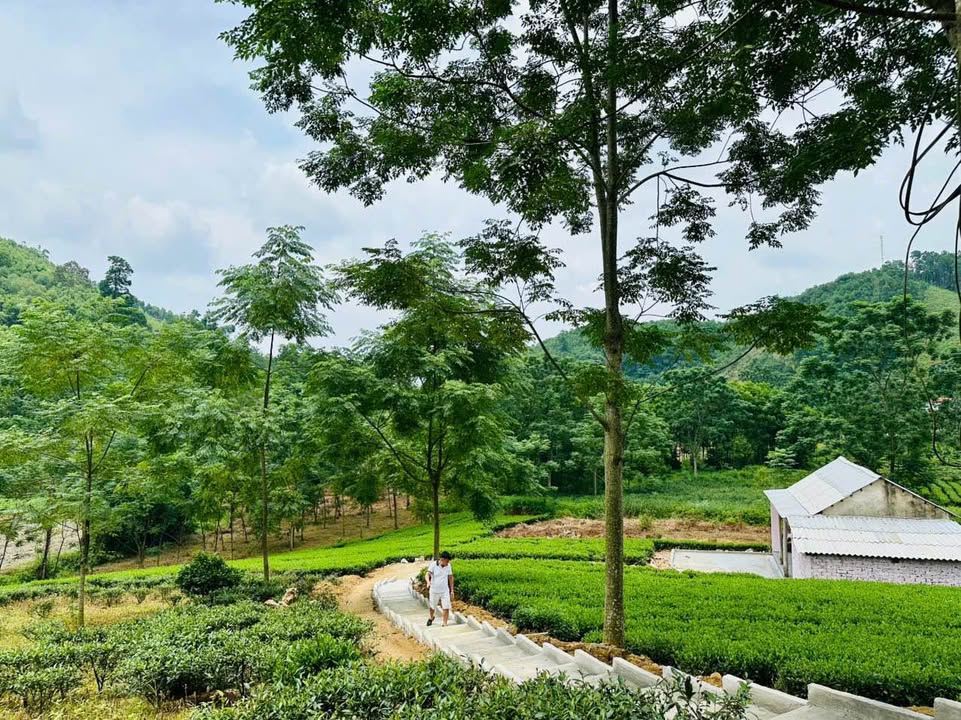 Đất vườn 8000m² tại xã Mỹ Yên, Thái Nguyên - Có suối và nhà cấp 4 giá chỉ 2 tỷ!