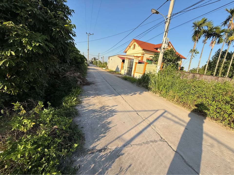 Đất thổ cư tại Trung Chính, Lương Tài 150m² - Cơ hội đầu tư sinh lời ngay!