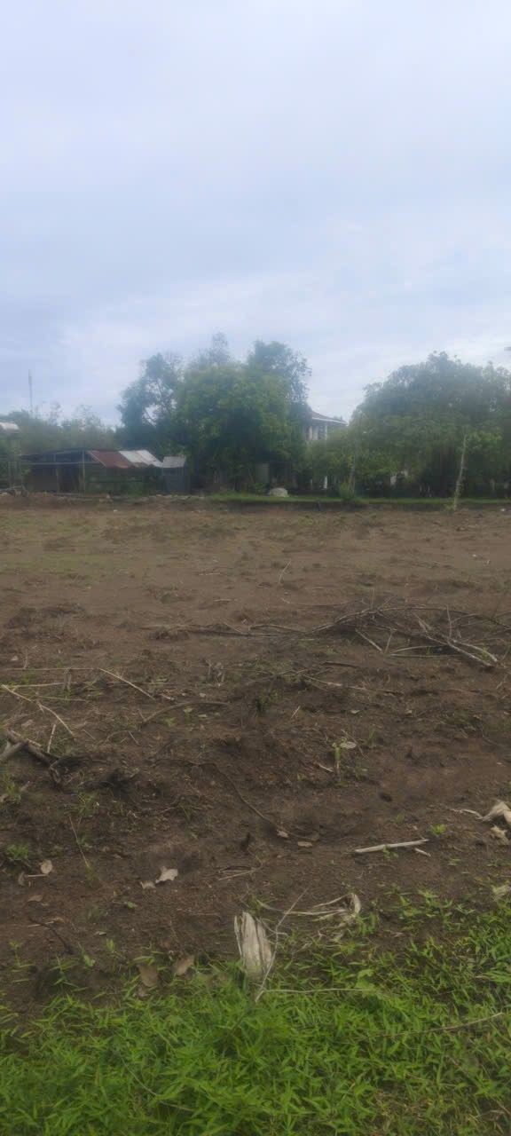 Đất nền 40m² mặt tiền bê tông tại Lộc Hưng, giá chỉ 4xx triệu - Sổ đỏ chính chủ!