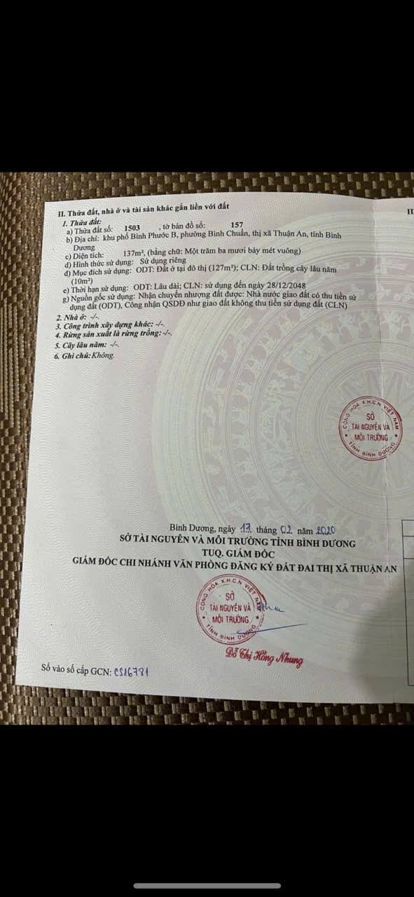 Đất cho thuê 137m² Bình Chuẩn, Thuận An - Full nội thất, chỉ 2.8 tỷ