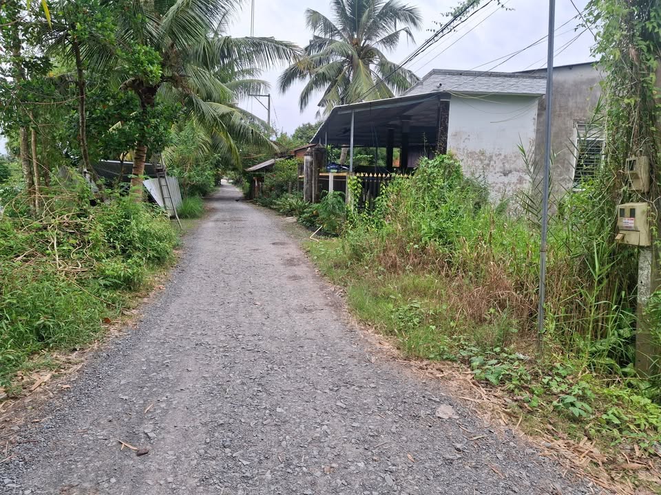 Đất nền góc 2 mặt tiền Huyện Lộ 54, Cai Lậy, 226m² - Giá chỉ 750 triệu!