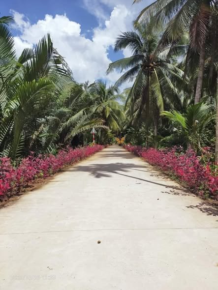 Đất mặt tiền Xã Sơn Phú, Giồng Trôm, Bến Tre 1700m² giá chỉ 2.04 tỷ - Cơ hội đầu tư tuyệt vời!