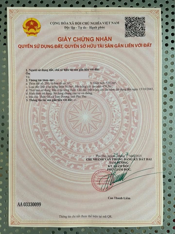 Đất nền 520m² tại Thôn Gô, Tam Dương - Giá chỉ 2 tỷ, sổ đỏ chính chủ!