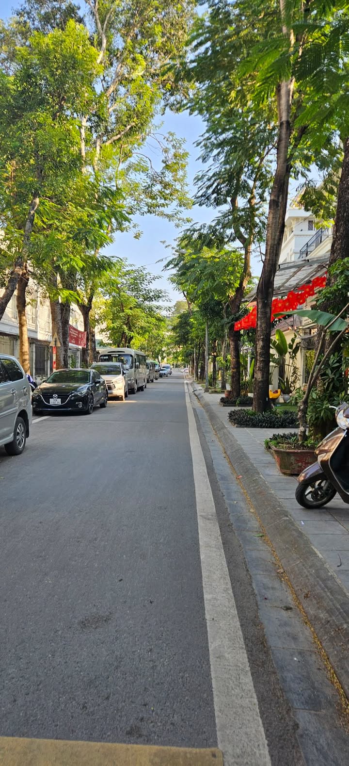 Nhà phố Khu đô thị Định Công 100m² giá 40 tỷ - Kinh doanh sầm uất, ô tô vào tận nhà!