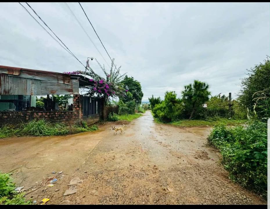 Đất nền Bùi Viện, An Phú, Pleiku 126m² giá 399 triệu - Cơ hội đầu tư tuyệt vời!