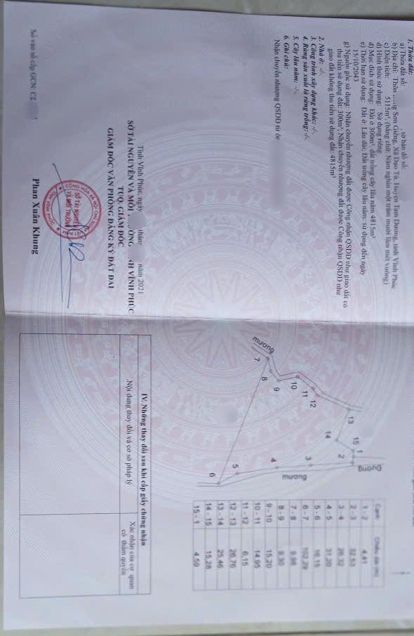 Đất nền Đạo Tú, Tam Dương 5.115m² chỉ 1,x triệu/m² - Cơ hội đầu tư hiếm có!