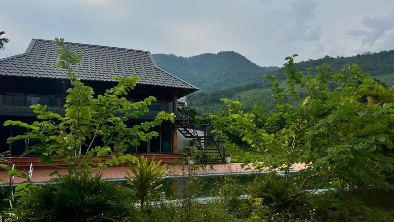 Đất nền Cao Sơn Lương Sơn 1685m² giá 6.425 tỷ - View núi thoáng đãng!