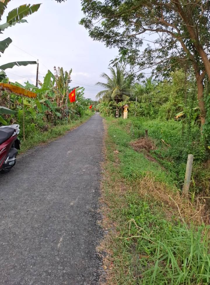 Đất nền 208m² mặt tiền đường nhựa 5 tấn - Vĩnh Long, giá 519 triệu thương lượng!