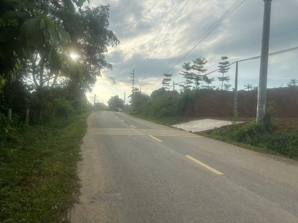 Đất thổ cư Thôn Dục, Yên Bình, Thạch Thất 5000m² giá 55 tỷ - Tiềm năng đầu tư lớn!