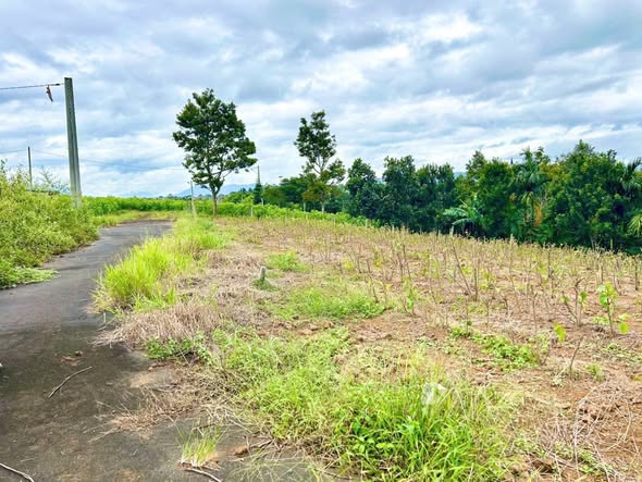 Đất thổ cư Hẻm Nguyễn Trãi - Bảo Lộc 120m² giá 1.25 tỷ - Sổ hồng chính chủ, thương lượng linh hoạt!