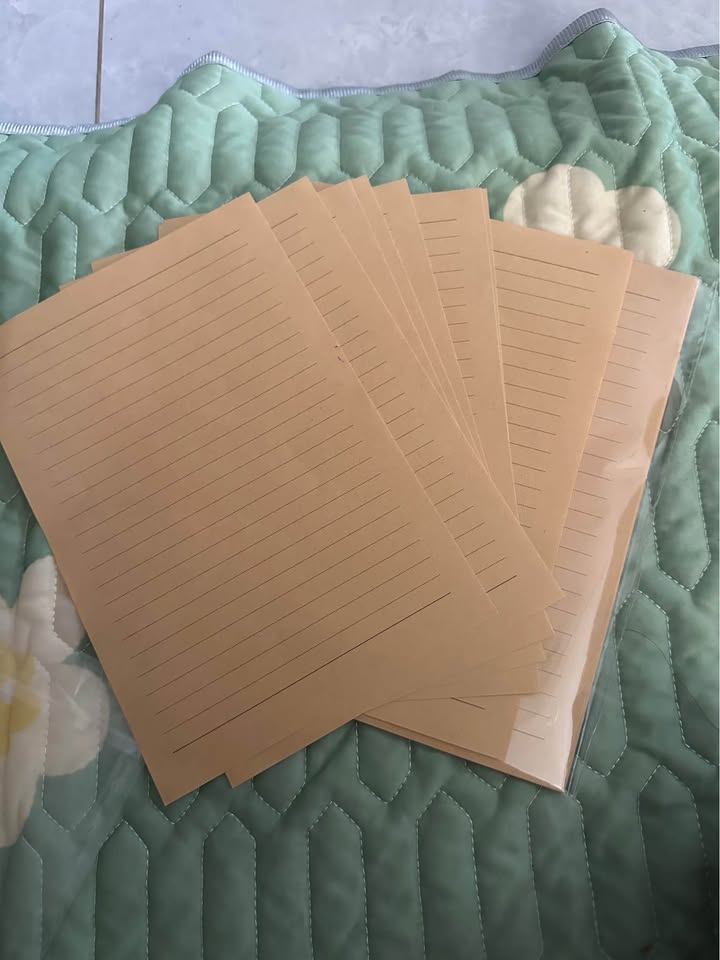 Đất mặt tiền đường nhựa xã Phong Nẫm TP. Phan Thiết 91m² giá 630 triệu - Cơ hội đầu tư tuyệt vời!