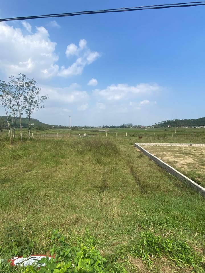 Đất đấu giá Diễn Phú Nghệ An 300m² giá 1 tỷ - Đầu tư sinh lời ngay!