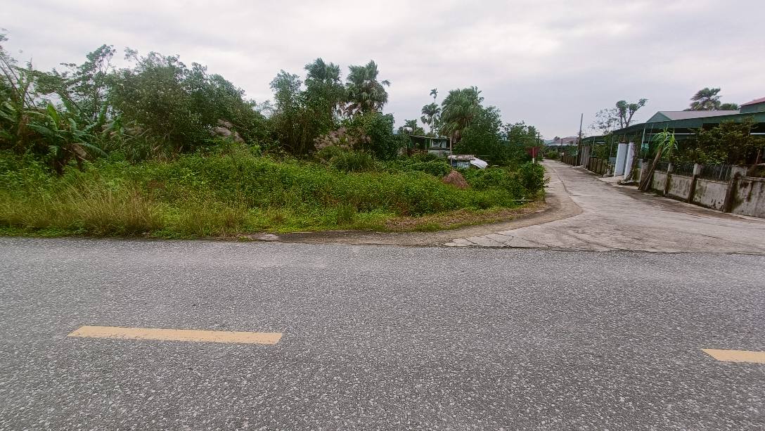 Đất mặt đường Liên xã Thạch Tân - Thạch Đài 225m² giá thỏa thuận - Pháp lý rõ ràng!