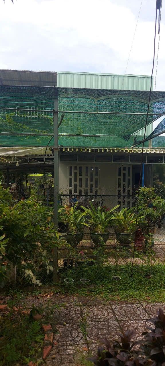 Đất thổ cư 100m² tại Mỹ Phước 1, Bình Minh, 874m² - Sổ hồng chính chủ