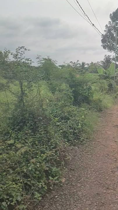 Đất nền Bàu Hàm, Trảng Bom 1035m² giá 800 triệu - Sổ đỏ chính chủ, đầu tư sinh lời!