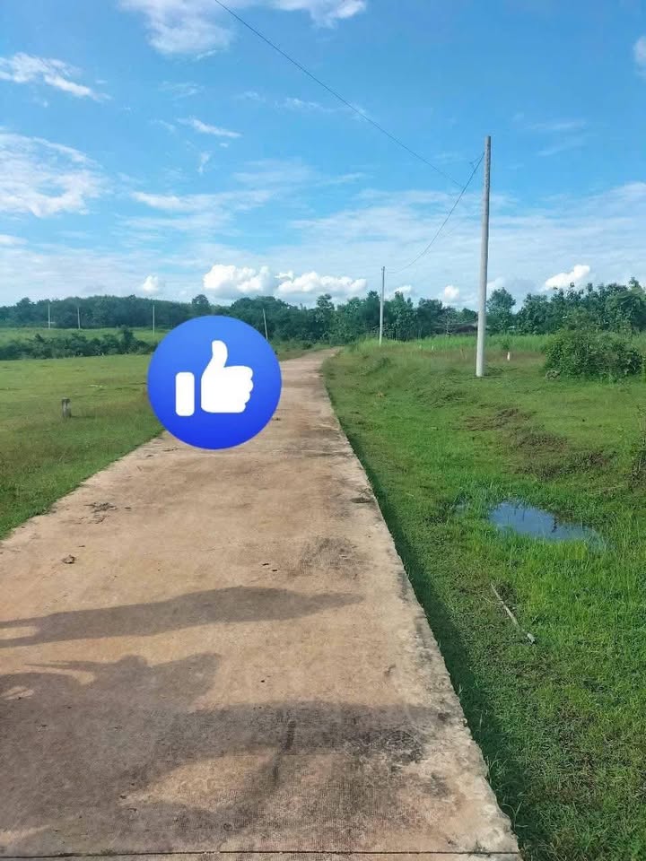 Đất nền Lộc Hưng 1000m² giá thỏa thuận - Sổ đỏ chính chủ!