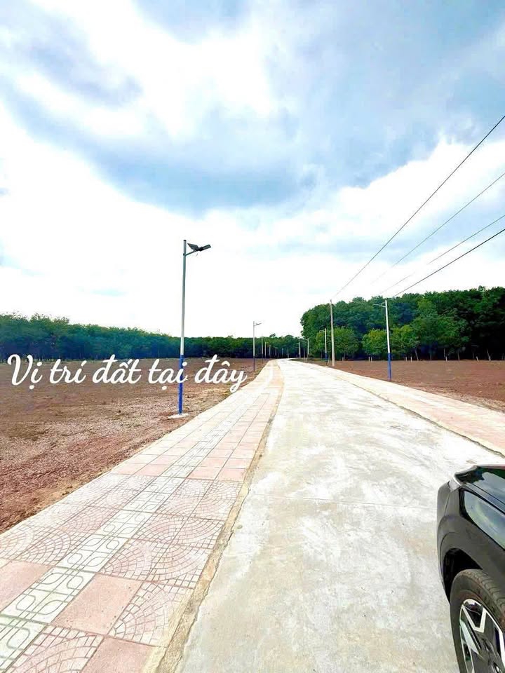 Đất nền mặt tiền đường số 16, Minh Lập, Chơn Thành 500m² - Giá chỉ 300 triệu!