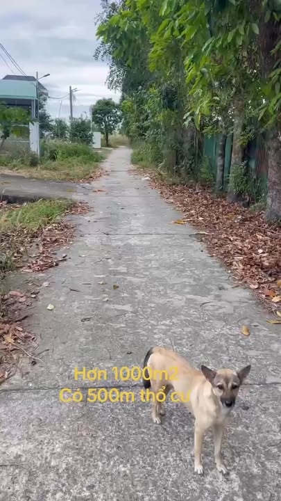 Đất nền 3600m² tại Minh Thành, Chơn Thành - Lô góc 60m mặt tiền, cơ hội hiếm có!