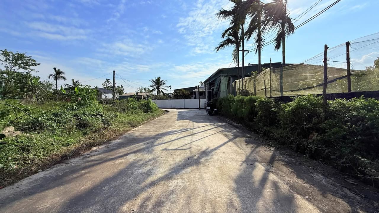 Bán đất Thôn Thống Nhất - Thạch Đài 139m² giá 1.3 tỷ - Cơ hội đầu tư tuyệt vời!