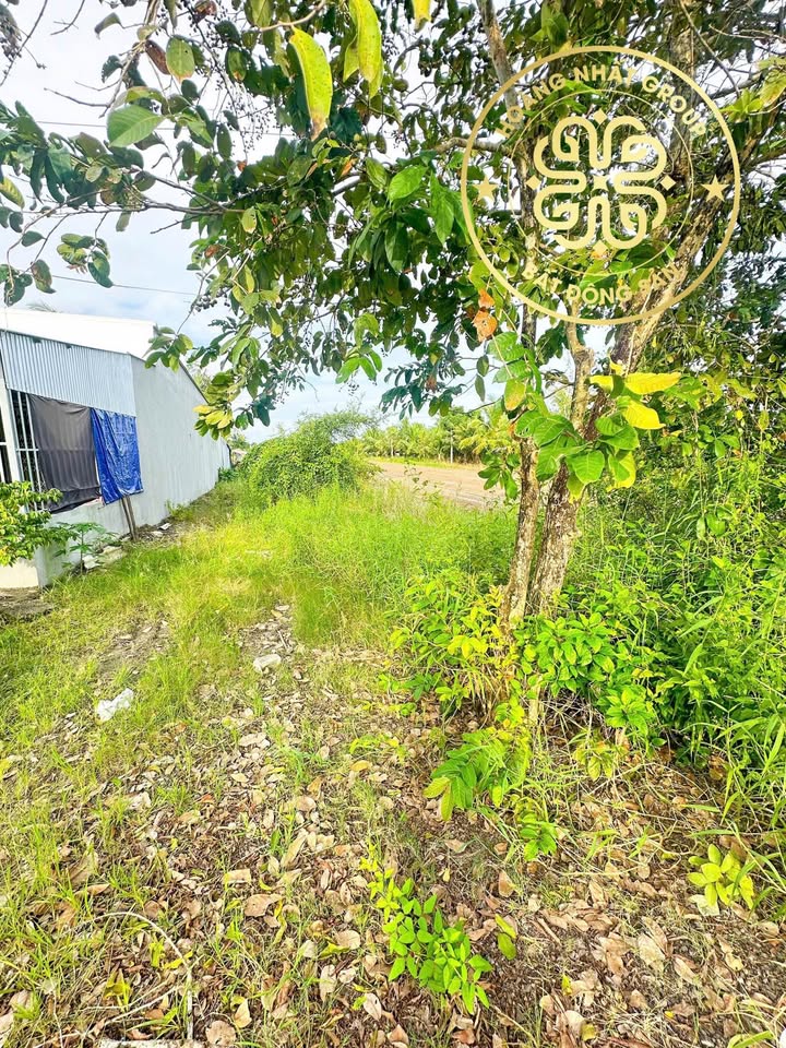 Bán đất mặt tiền Kênh Chín Viên, P. Lý Văn Lâm, 6121m² - Cơ hội đầu tư hấp dẫn!