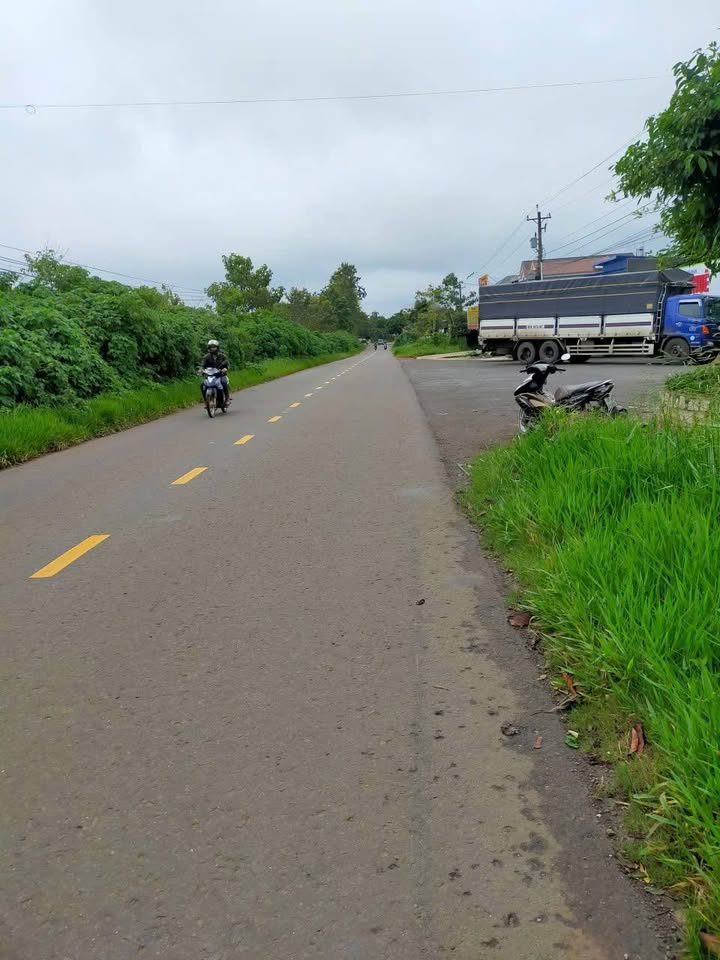 Đất Mặt Tiền Lý Thái Tổ Bảo Lộc 780m² giá 7.8 tỷ - Đầu tư sinh lời ngay!