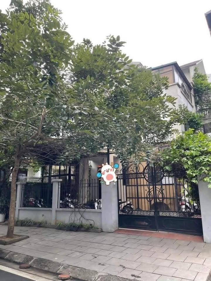 Biệt thự đơn lập KĐT Dịch Vọng - Cầu Giấy 296m² giá 83.5 tỷ - Lô góc thoáng sáng, kinh doanh tốt!